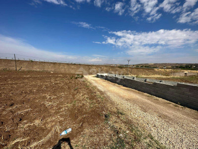 WhatsApp Image 2025-06-02 at 15.53.37.jpeg